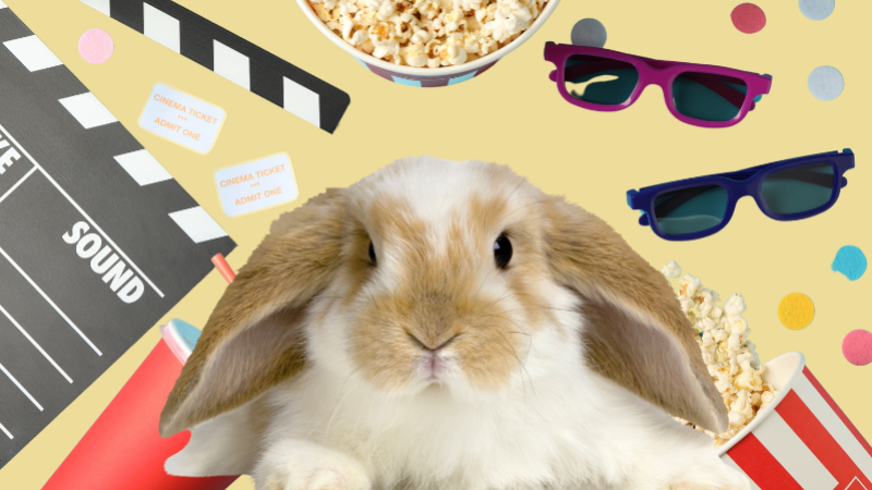 Pasqua 2025 al Cinema: Le Novità Imperdibili